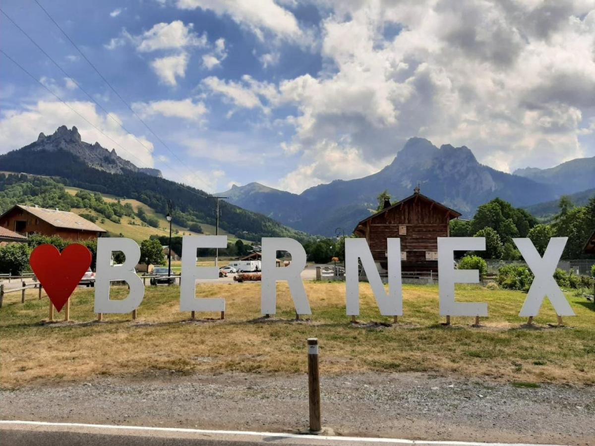 Le 67,Ski Et Randonnee,Lave Linge,Seche Linge,Parking Bernex Zewnętrze zdjęcie