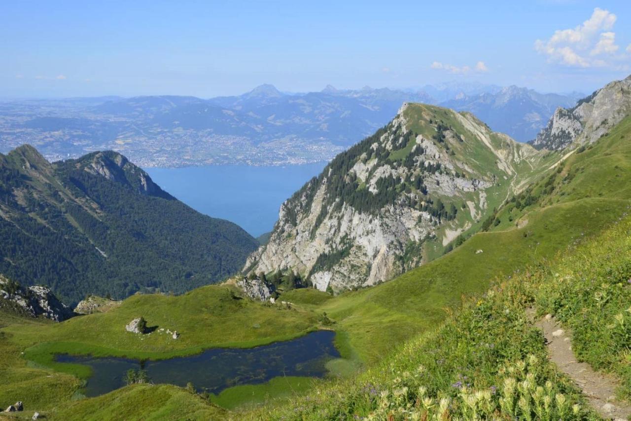 Le 67,Ski Et Randonnee,Lave Linge,Seche Linge,Parking Bernex Zewnętrze zdjęcie