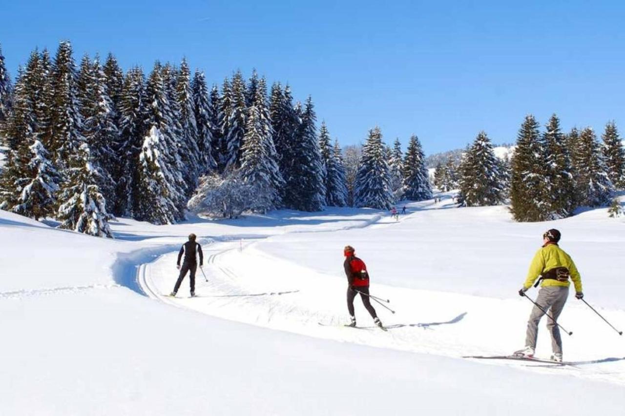 Le 67,Ski Et Randonnee,Lave Linge,Seche Linge,Parking Bernex Zewnętrze zdjęcie