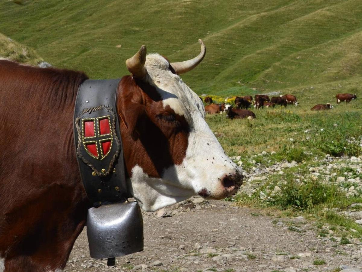 Le 67,Ski Et Randonnee,Lave Linge,Seche Linge,Parking Bernex Zewnętrze zdjęcie
