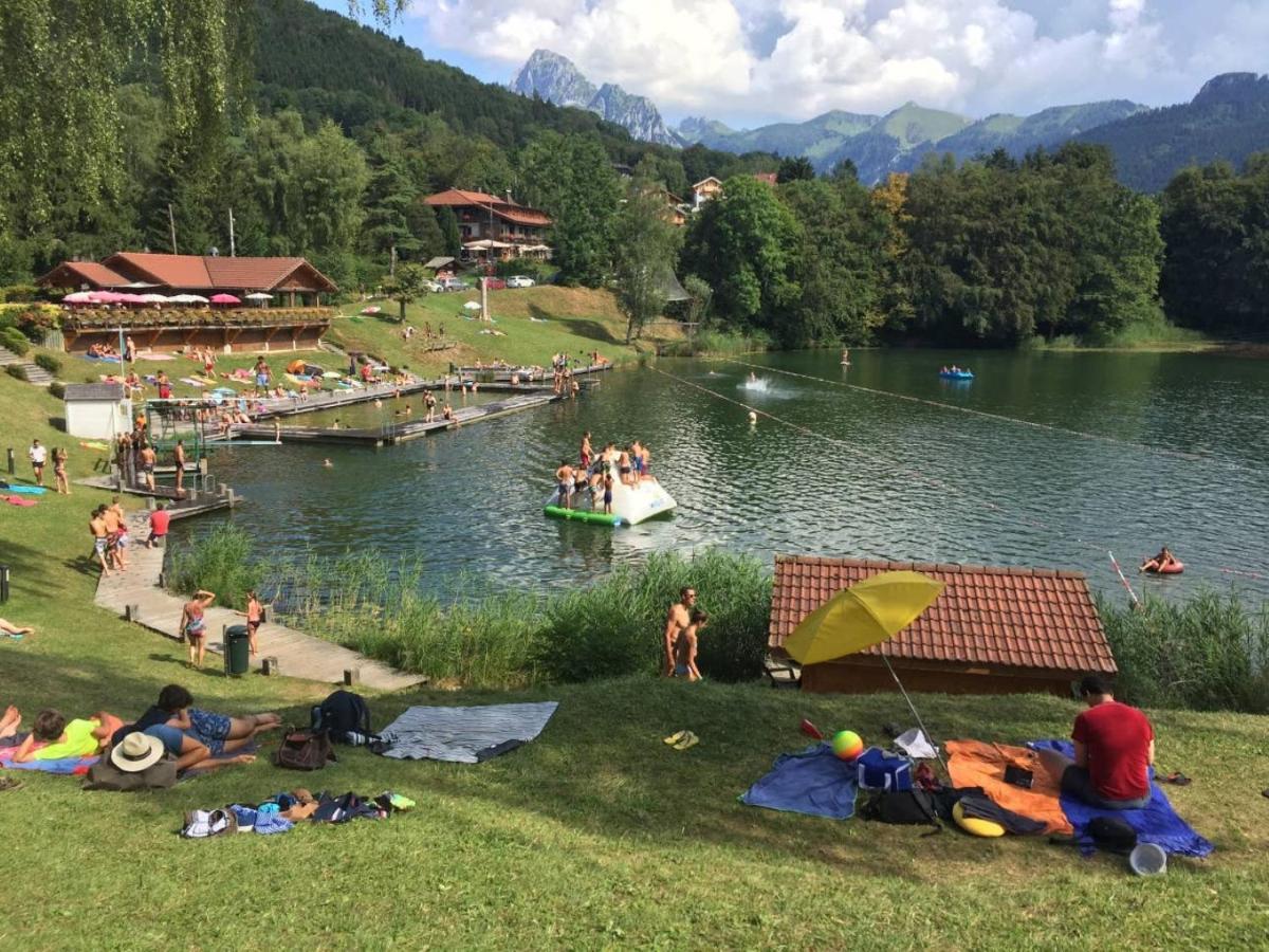 Le 67,Ski Et Randonnee,Lave Linge,Seche Linge,Parking Bernex Zewnętrze zdjęcie