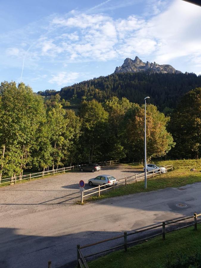 Le 67,Ski Et Randonnee,Lave Linge,Seche Linge,Parking Bernex Zewnętrze zdjęcie